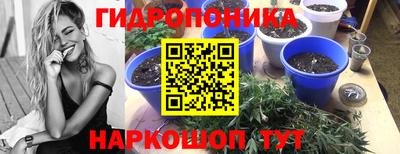 дмт Абакан
