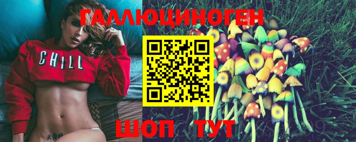 где продают наркотики  Галлюциногенные грибы MAGIC MUSHROOMS  Псилоцибиновые грибы Psilocybine cubensis  Вход с VPN  Азнакаево 